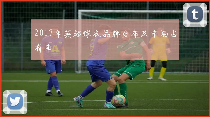 2017年英超球衣品牌分布及市场占有率