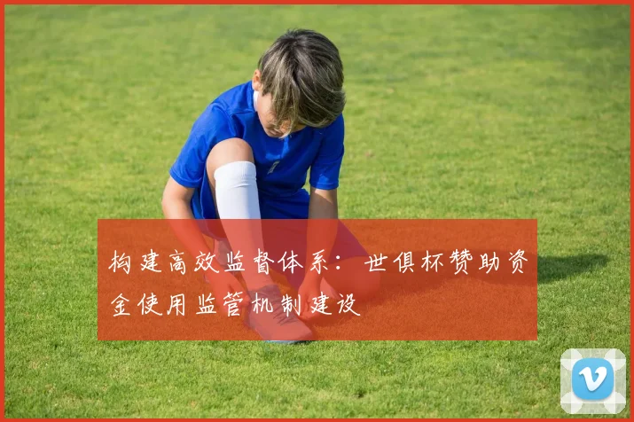 构建高效监督体系：世俱杯赞助资金使用监管机制建设